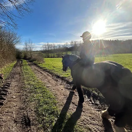 Appartement Ferien Und Freizeithof Engelau - Zi 2 *